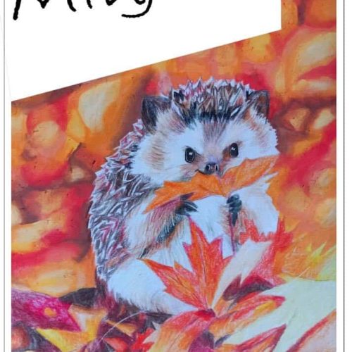 Megjelent a Miújság?! suliújság 1. száma